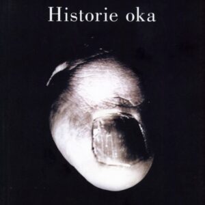 okładka książki HISTORIE OKA. BATAILLE, LEIRIS, ARTAUD, BLANCHOT