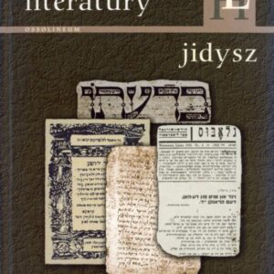 okładka książki HISTORIA LITERATURY JIDYSZ. ZARYS